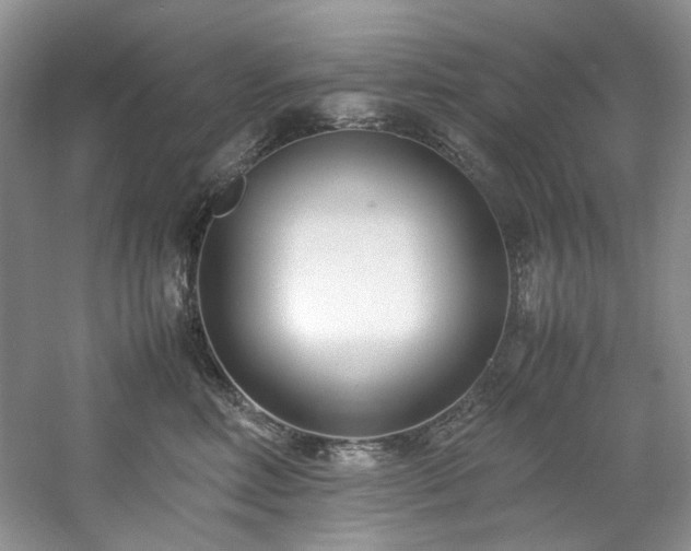 X0000061720618200512021341