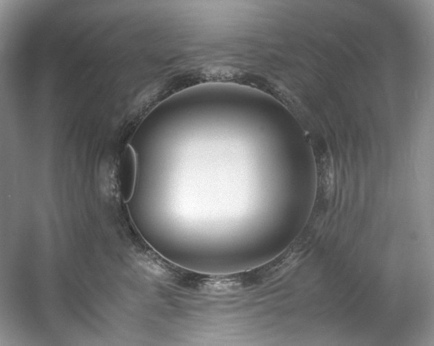 X0000061720619200512021341