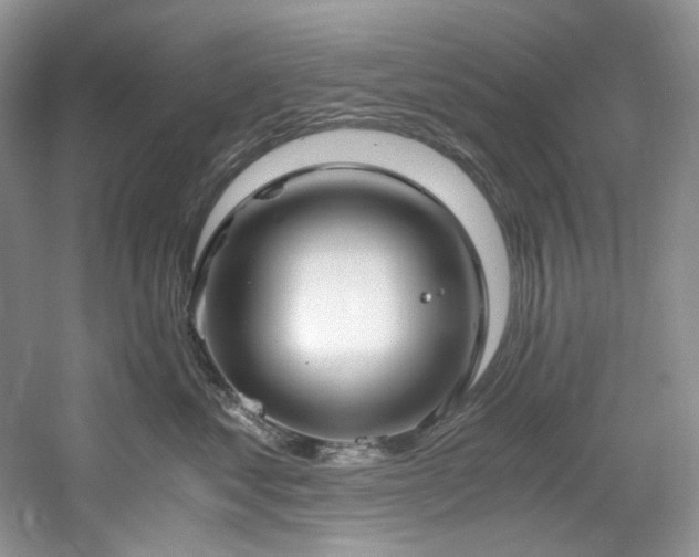 X0000061720621200512021341