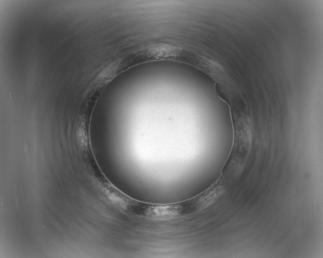 X0000061720622200512021341
