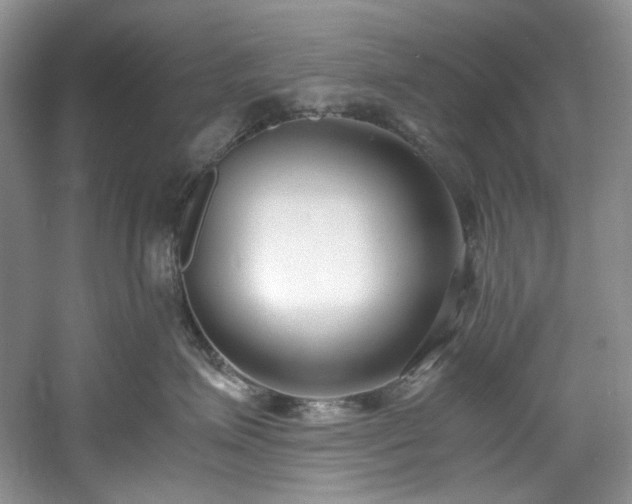 X0000061720623200512021341