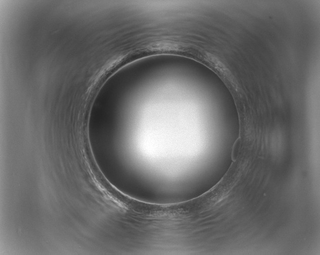 X0000061720625200512021340