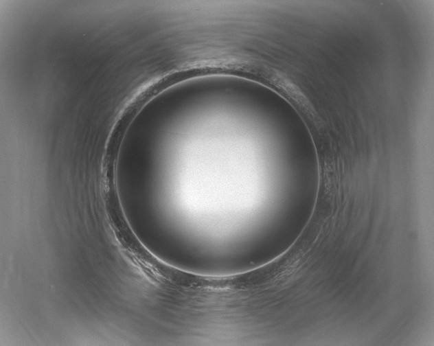 X0000061720628200512021340