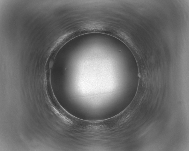 X0000061720629200512021340