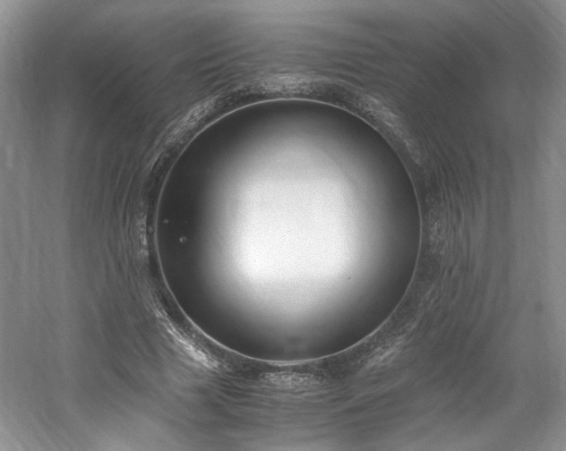 X0000061720633200512021340