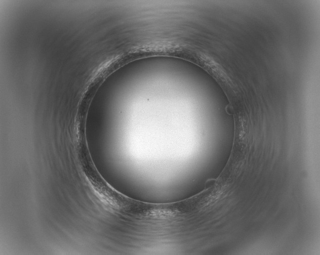 X0000061720636200512021340
