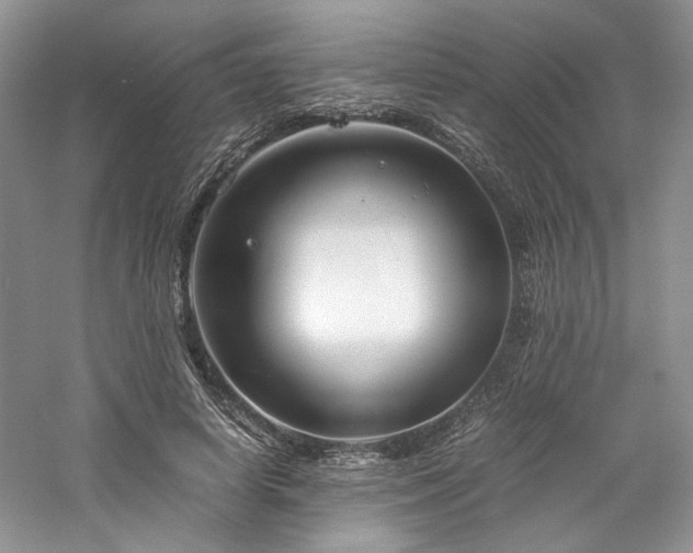 X0000061720642200512021340