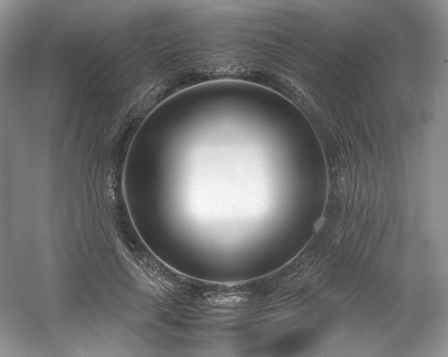 X0000061720643200512021340
