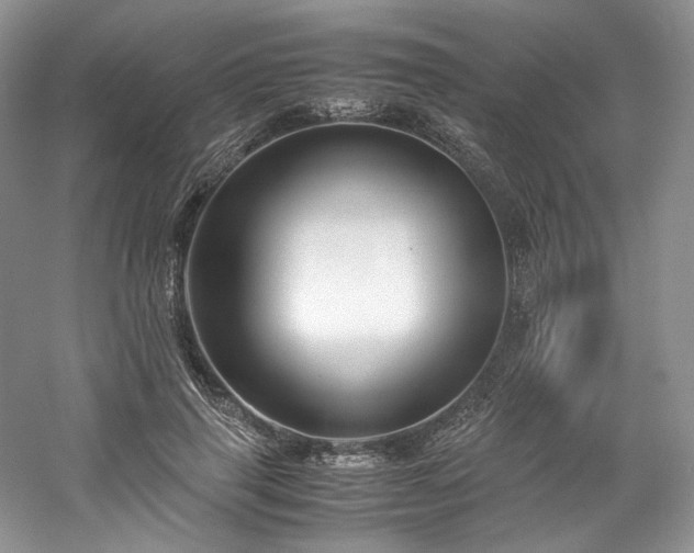 X0000061720645200512021340
