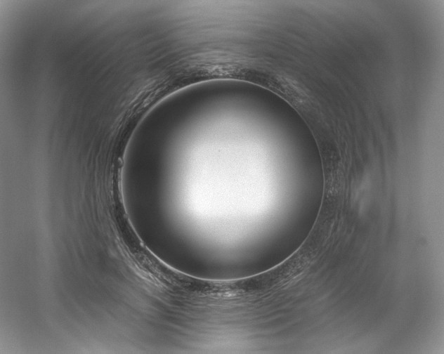 X0000061720646200512021340