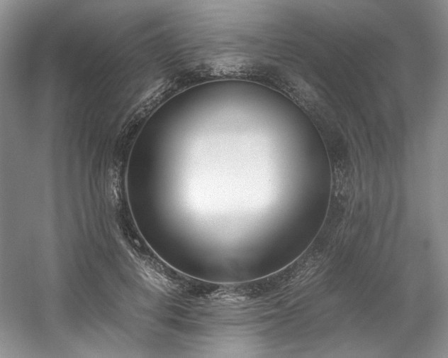 X0000061720648200512021340