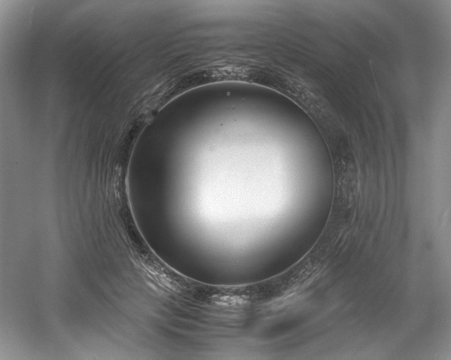 X0000061720649200512021340