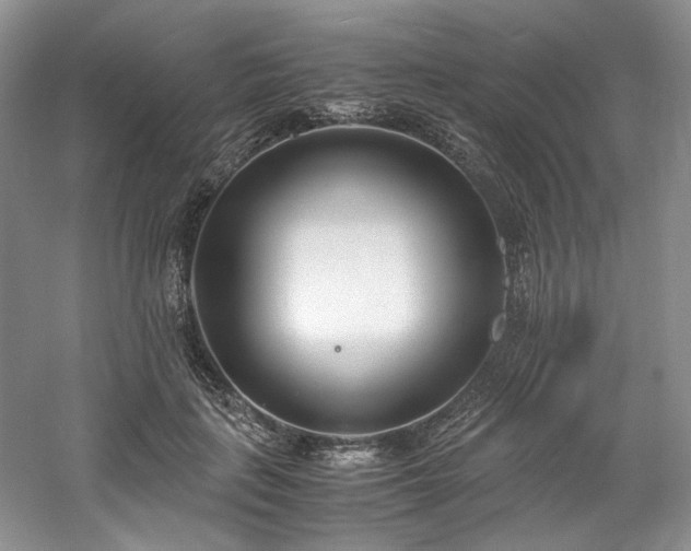 X0000061720651200512021340