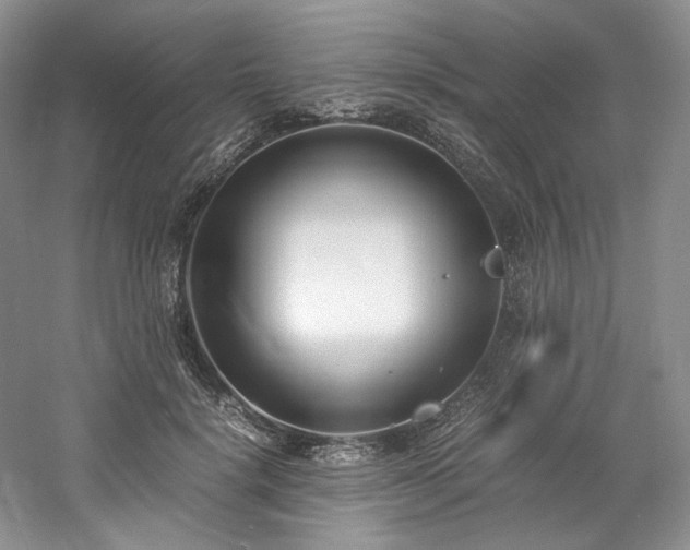 X0000061720652200512021340