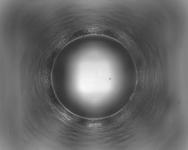 X0000061720653200512021340