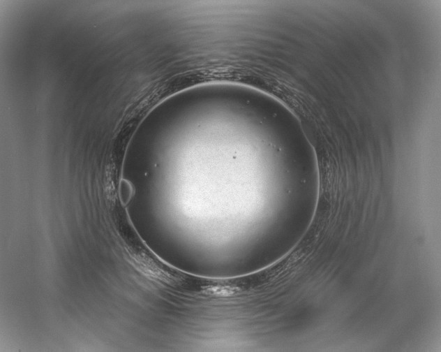 X0000061720654200512021340
