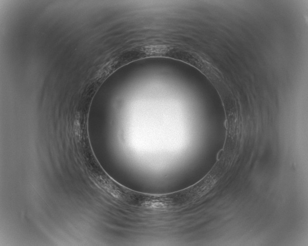 X0000061720655200512021340