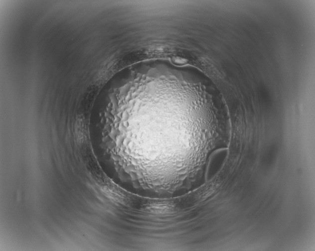 X0000061720659200512021340