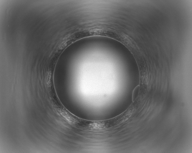 X0000061720660200512021340
