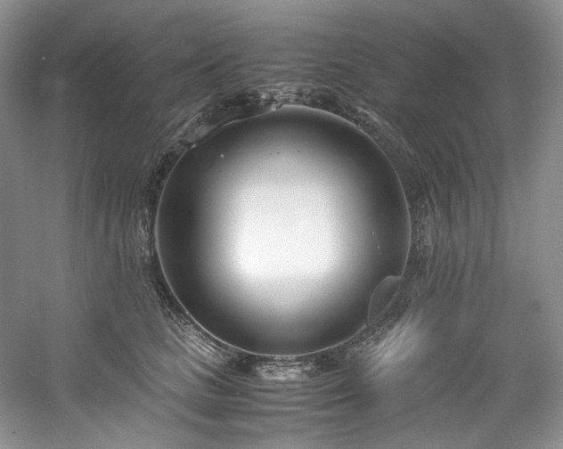 X0000061720661200512021340