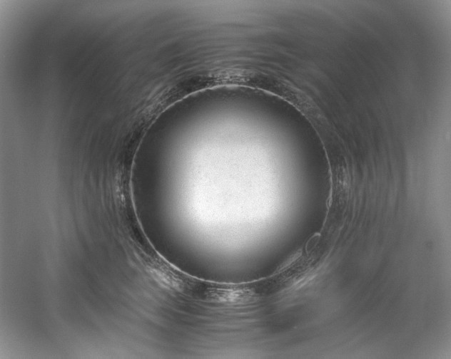 X0000061720663200512021340