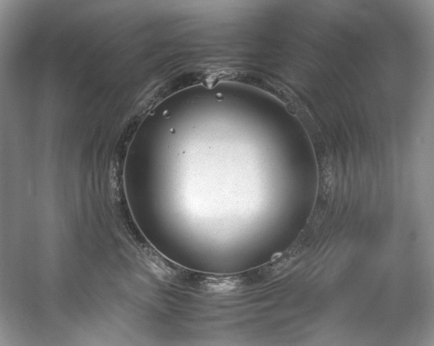 X0000061720667200512021341