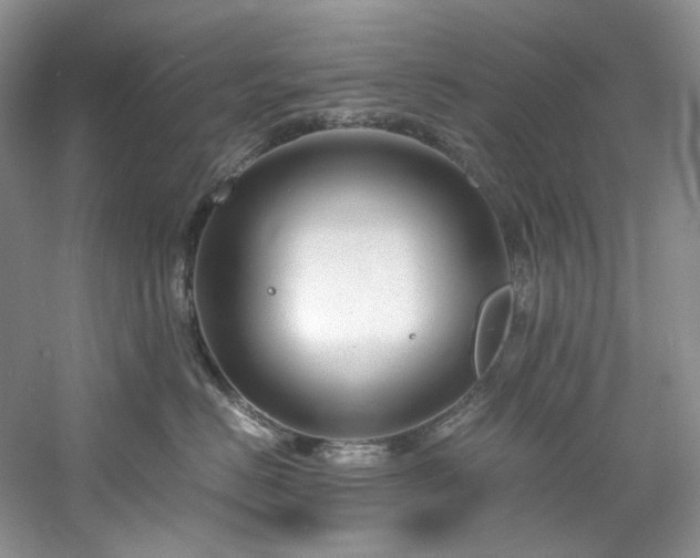 X0000061720670200512021341