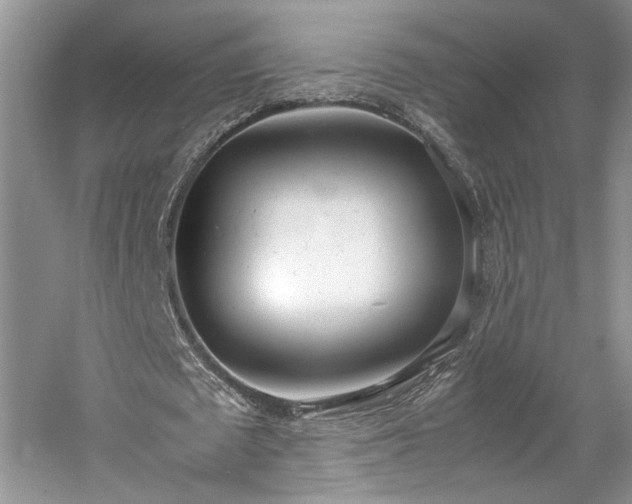 X0000061720673200512021340