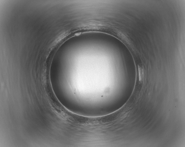 X0000061720675200512021340