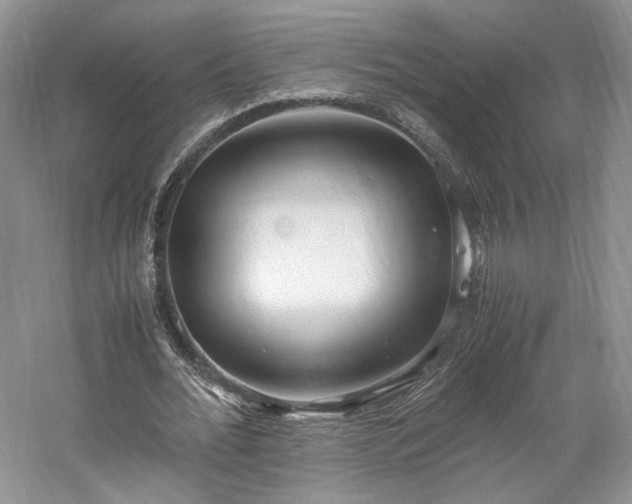 X0000061720676200512021340