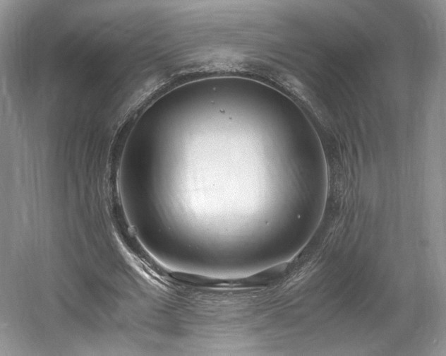 X0000061720677200512021340