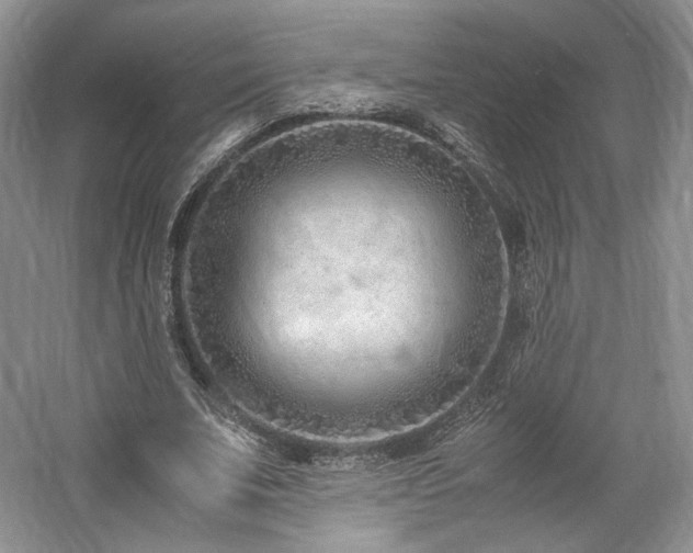 X0000061720679200512021340