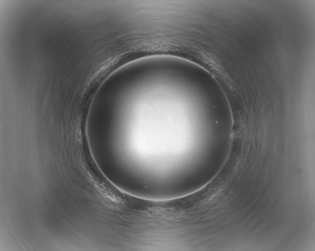 X0000061720681200512021340