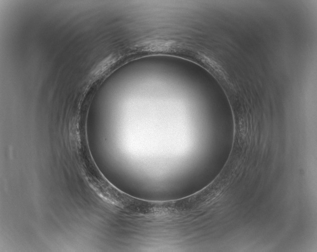 X0000061720682200512021340