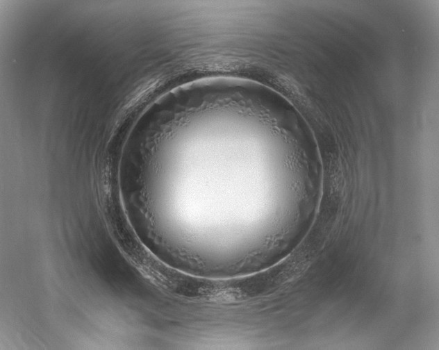 X0000061720683200512021340