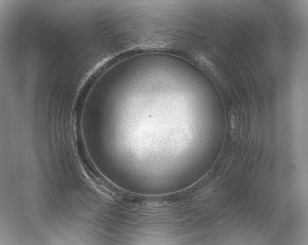 X0000061720684200512021340