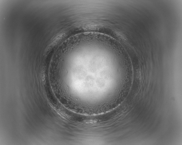 X0000061720687200512021339