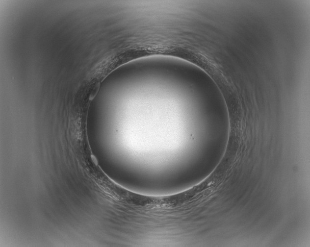 X0000061720689200512021339