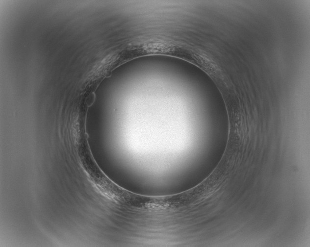 X0000061720690200512021339
