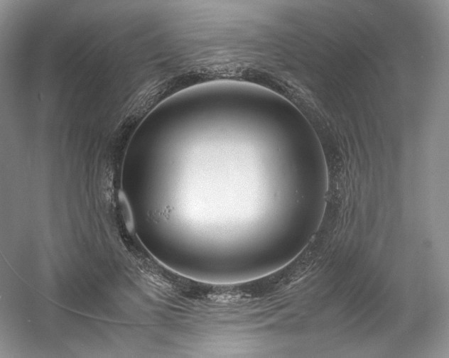 X0000061720693200512021339