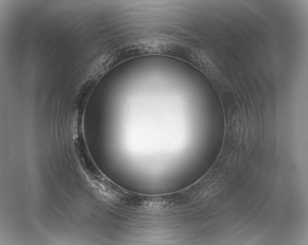 X0000061720694200512021339