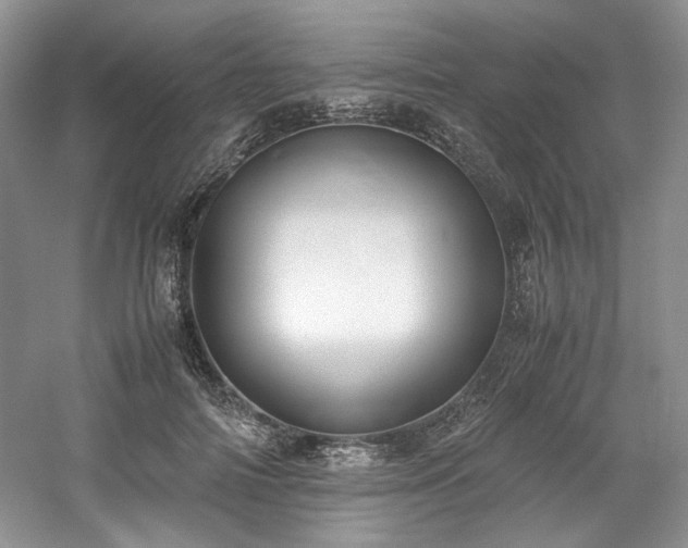 X0000061720698200512021339