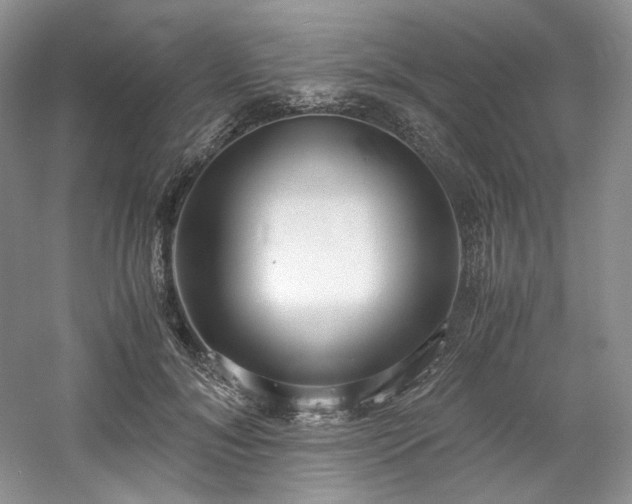 X0000061720700200512021339