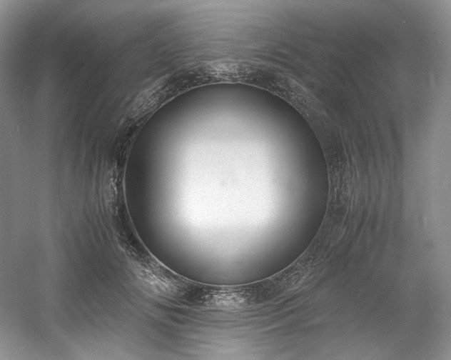 X0000061720702200512021339