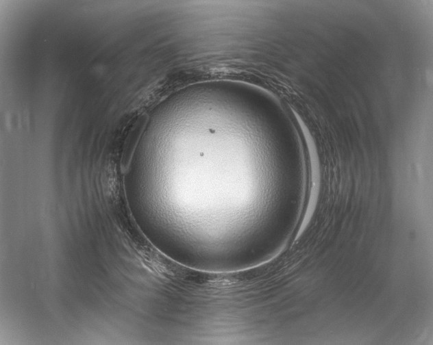 X0000061720704200512021339