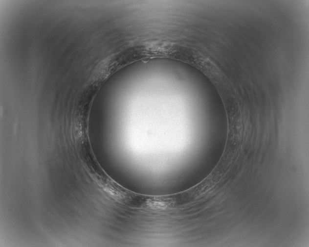 X0000061720706200512021339