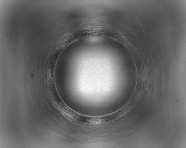 X0000061720711200512021339