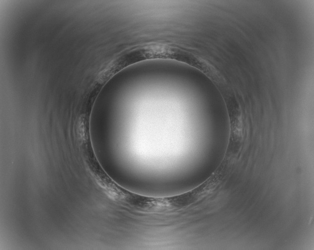 X0000061720715200512021339