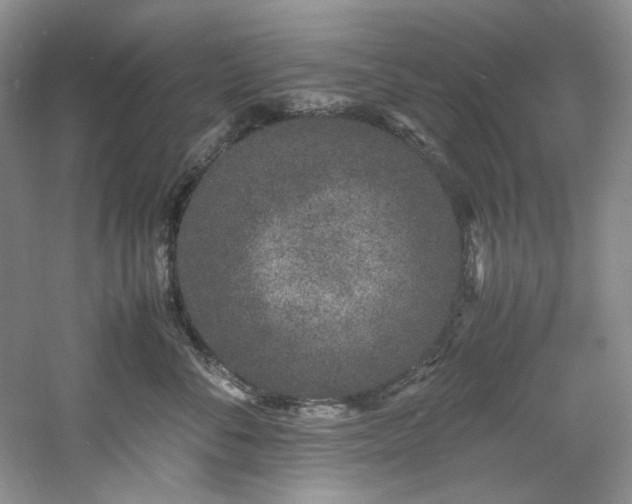 X0000061720716200512021339