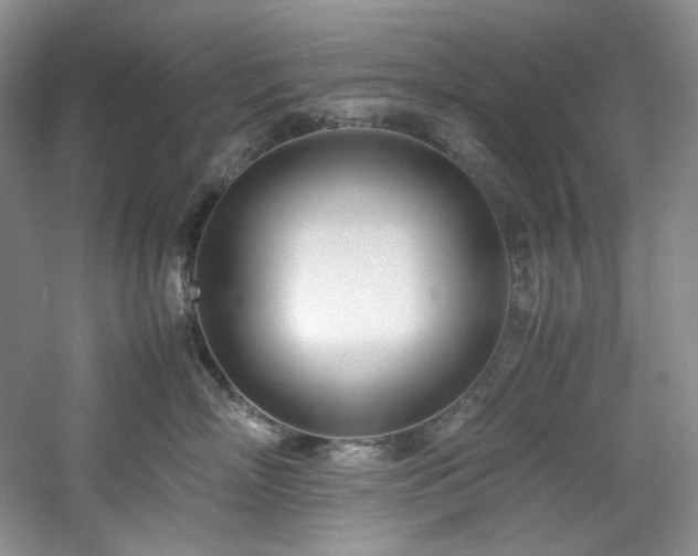 X0000061720718200512021339